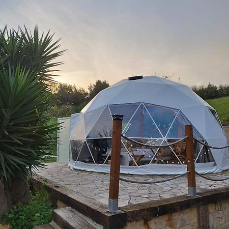 ホテル Glamping Quintana ヒホン エクステリア 写真