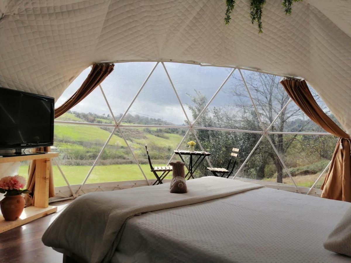 ホテル Glamping Quintana ヒホン エクステリア 写真